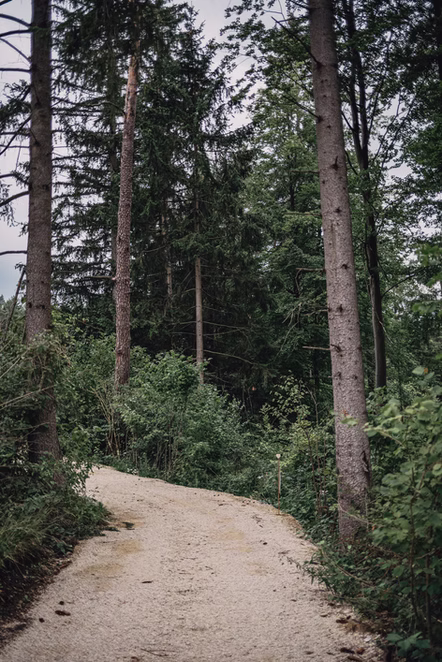 Hochzeitsscheune Gerhelm — Impression 24